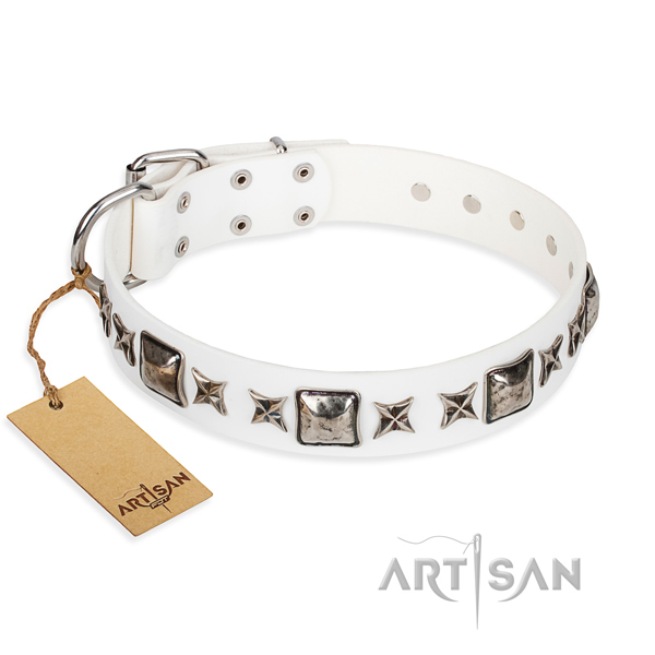 Awesome leather collar for your gorgeous dog
