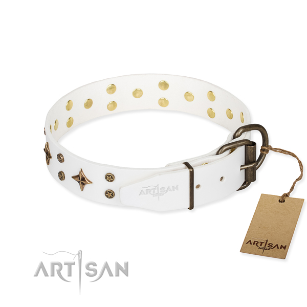 Versatile leather collar for your elegant dog