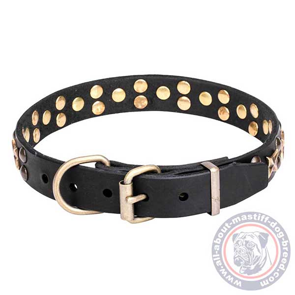 Leather dog collar with old bronze plated fittings