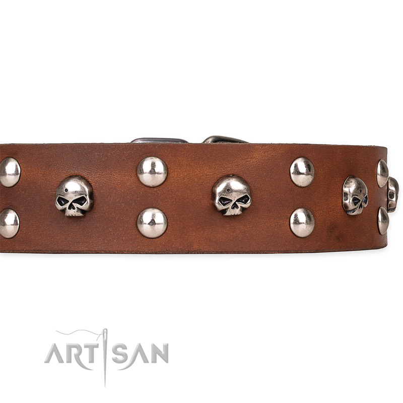 Buckle Dog Collar in Francois – Mutthead