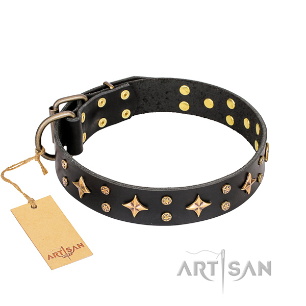 Reliable leather dog collar with strong details