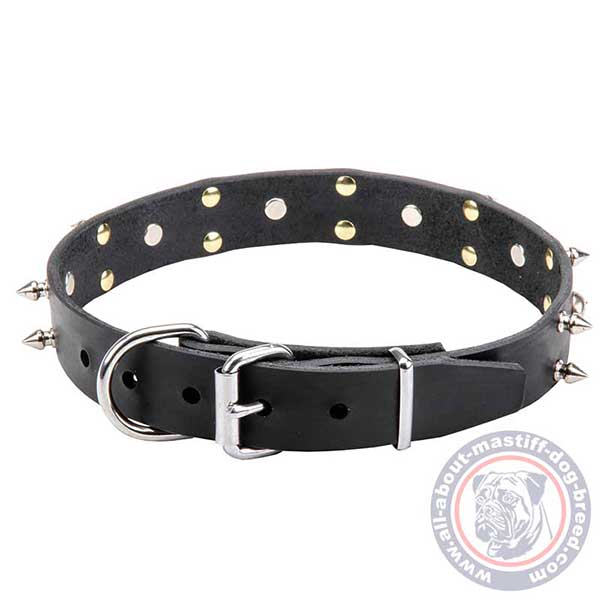 Walking and training leather dog collar