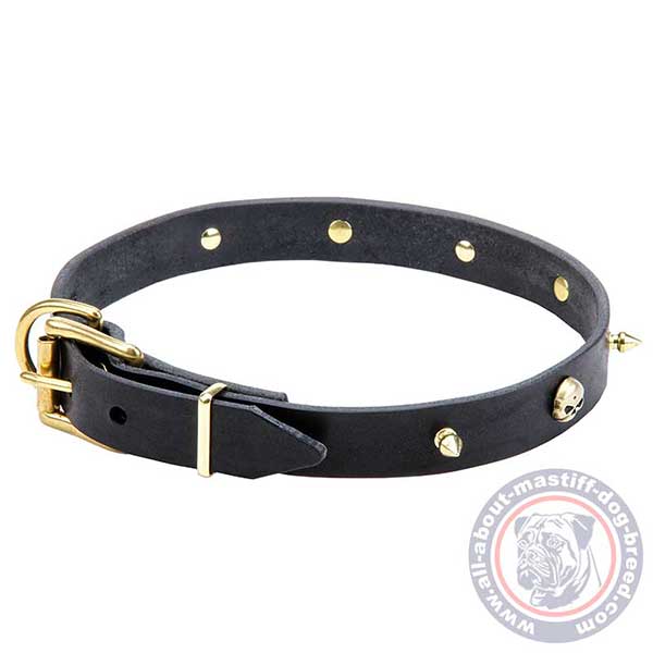 Walking leather dog collar