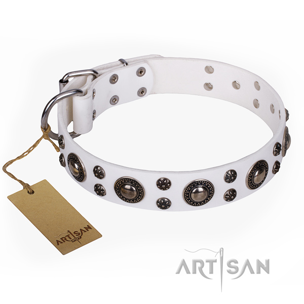 Long-wearing leather dog collar with corrosion-resistant details