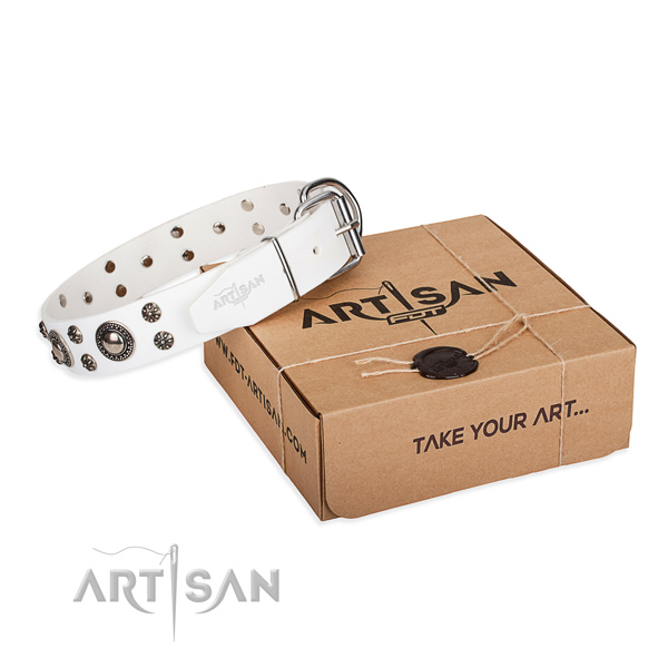 Day-to-day leather dog collar with stunning adornments