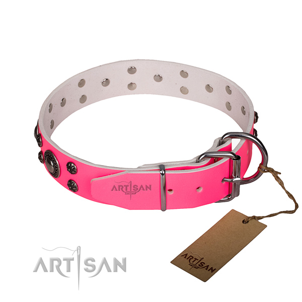 Durable leather collar for your stunning pet