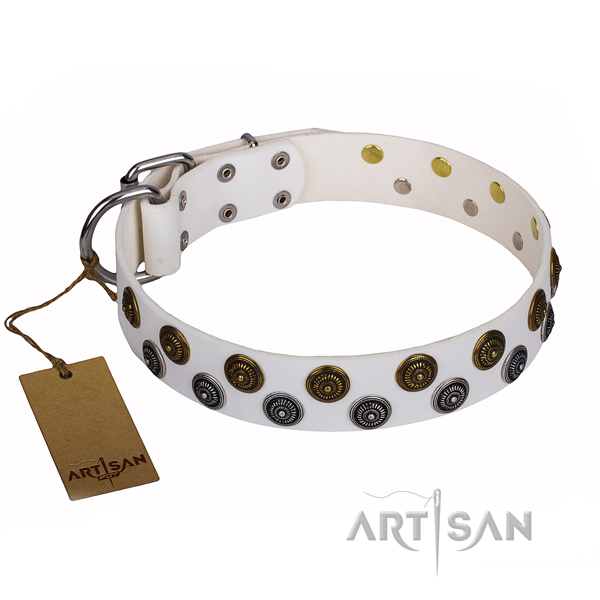Multifunctional leather collar for your elegant pet
