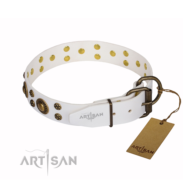 Multifunctional leather collar for your noble canine