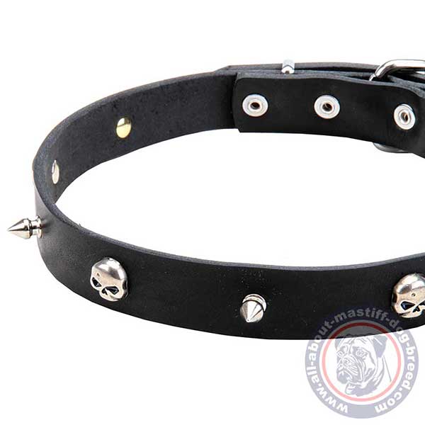 Fashion leather dog collar for walking
