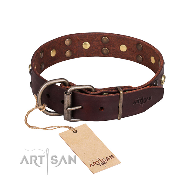 Everyday leather dog collar with remarkable adornments