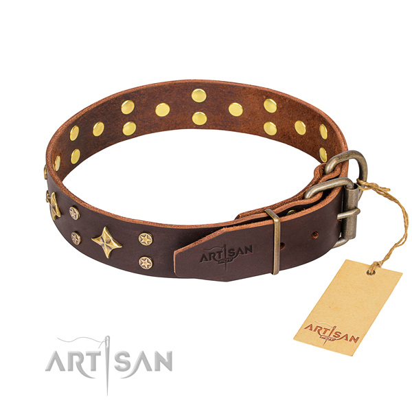 Daily leather collar for your stunning canine