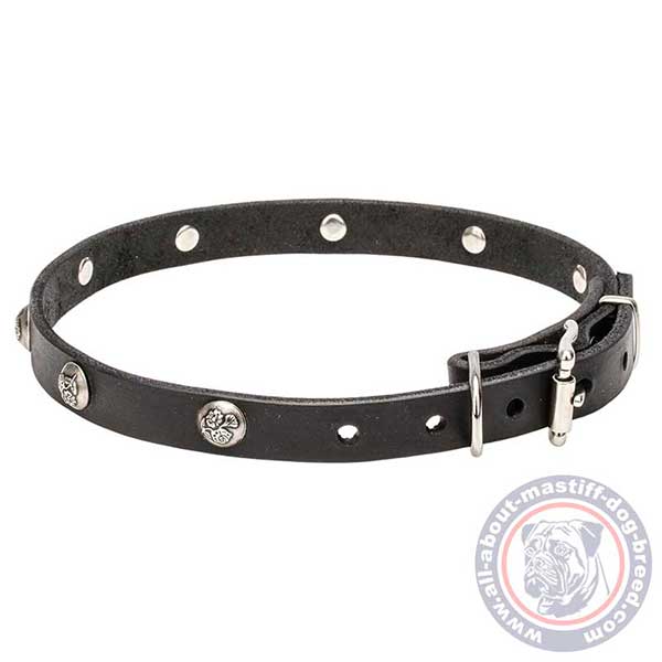 Tear-proof leather dog collar
