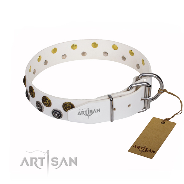 Reliable leather dog collar with durable elements