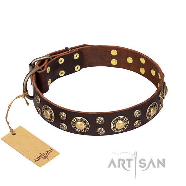 Heavy-duty leather dog collar with durable hardware