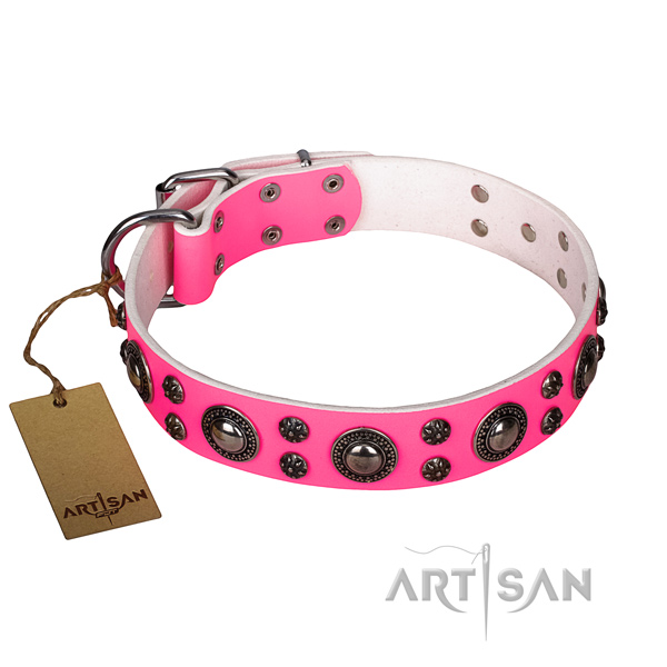 Dependable leather dog collar with riveted fittings