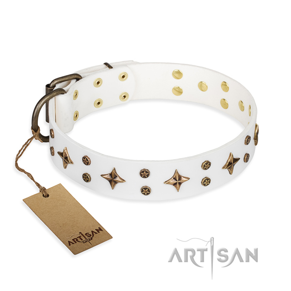 Resistant leather dog collar with sturdy fittings