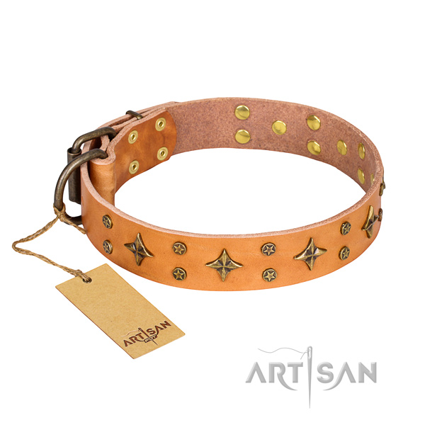 Tough leather dog collar with sturdy fittings