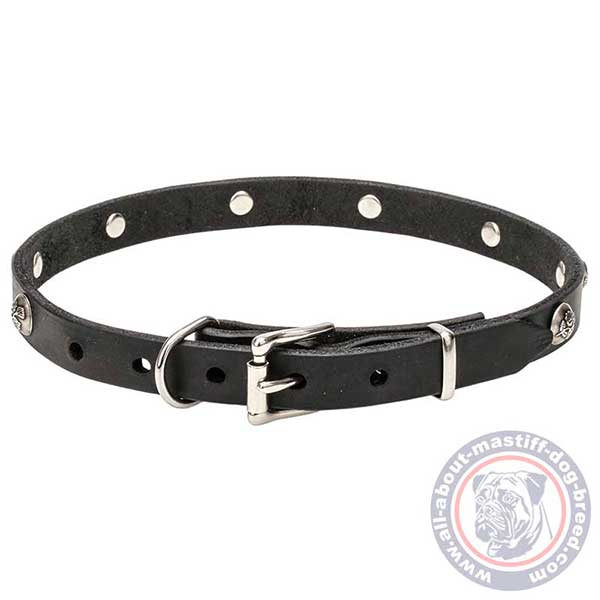 Strong leather dog collar with traditional buckle