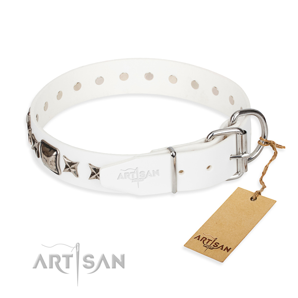 Tough leather dog collar with non-corrosive fittings