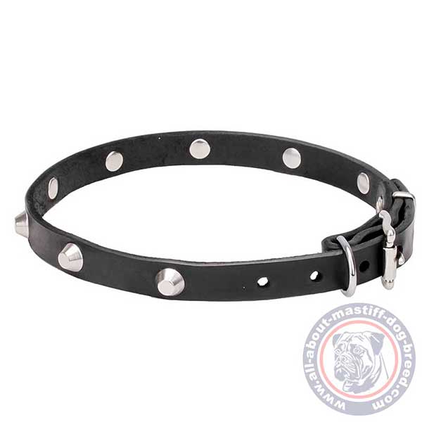 Leather dog collar for walking and training