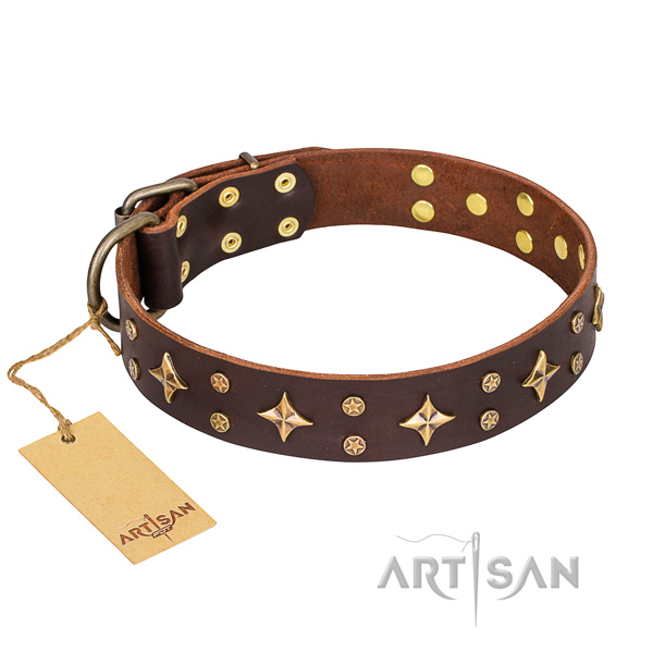 Dependable leather dog collar with riveted elements