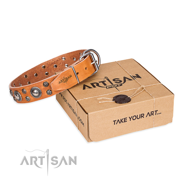 Casual leather dog collar with astonishing decorations