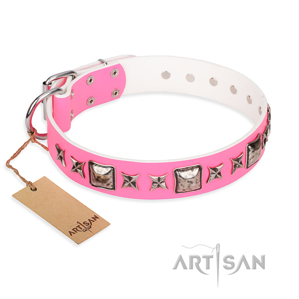 Durable leather dog collar with non-rusting hardware