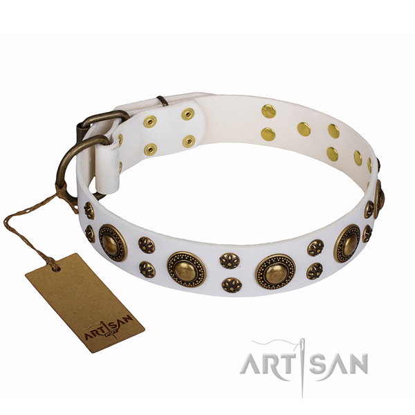 Reliable leather dog collar with durable fittings