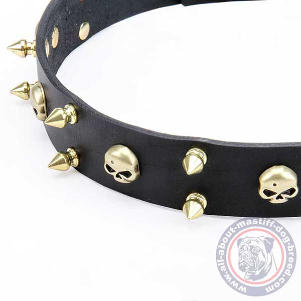 Leather dog collar with brass spikes and skulls
