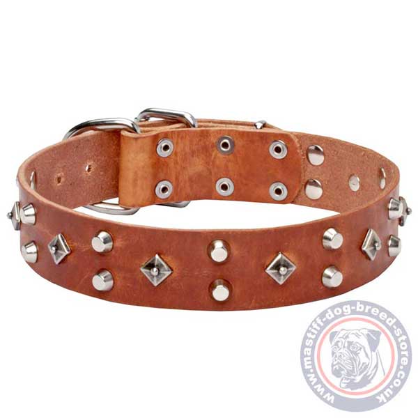 Fashionable tan leather dog collar