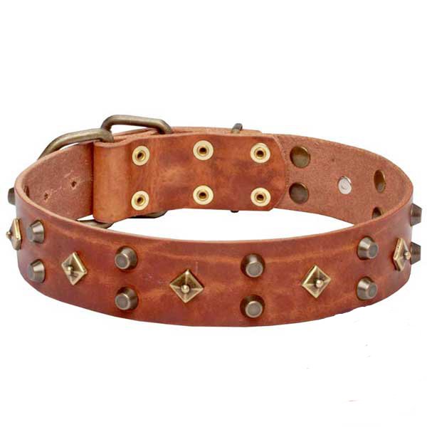 Safe tan leather dog collar