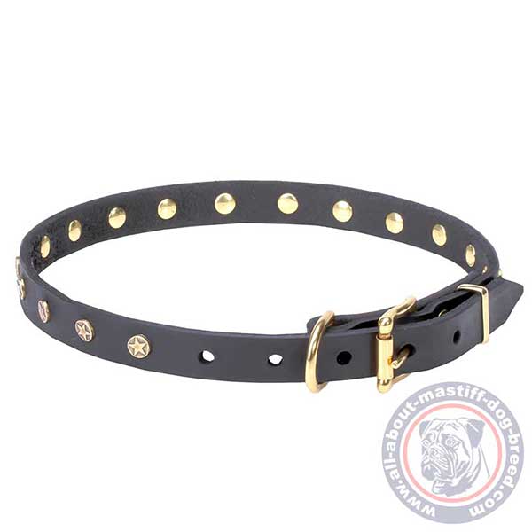 Strong leather dog collar with brass hardware