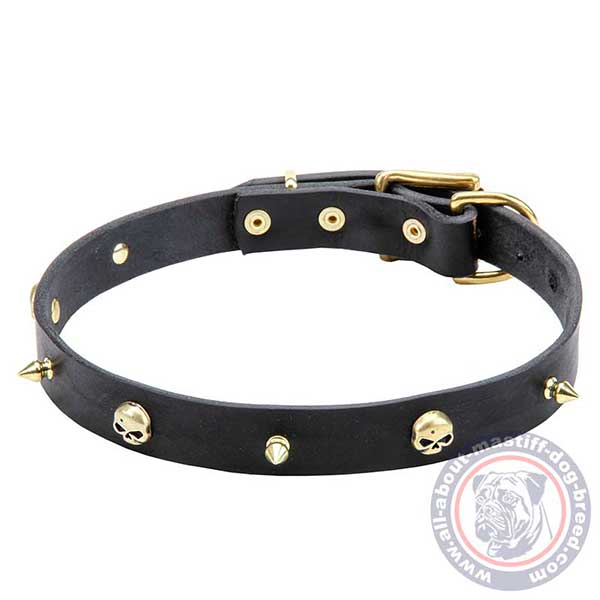 Leather dog collar with brass adornments