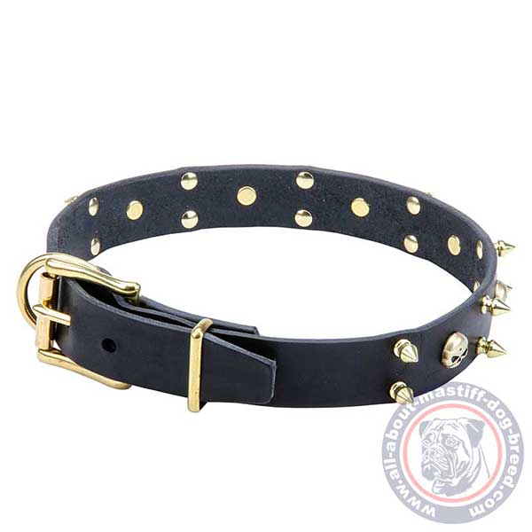 Leather dog collar with brass hardware