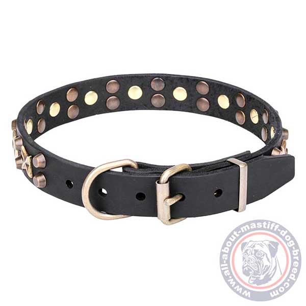 Leather dog collar with buckle and D-ring