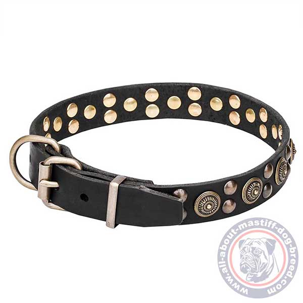 Leather dog collar with durable fittings