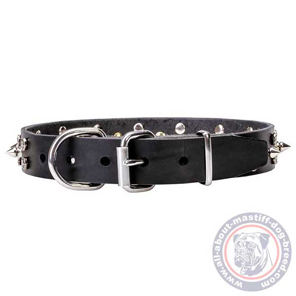 Leather dog collar with chrome plated buckle