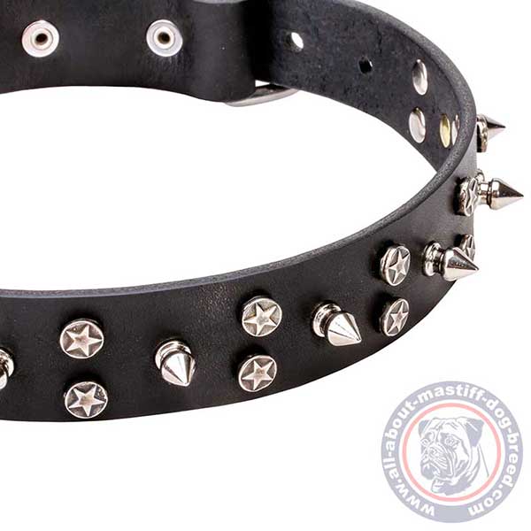 Everyday leather dog collar with studs and spikes
