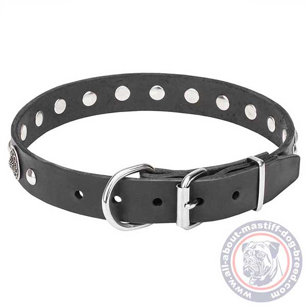 Leather dog collar with sturdy fittings