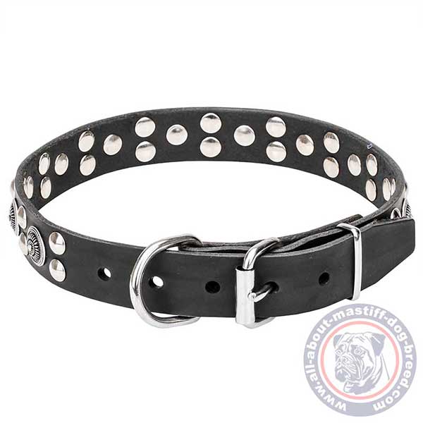 Leather dog collar with buckle and D-ring