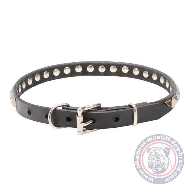 Leather dog collar with chrome plated hardware