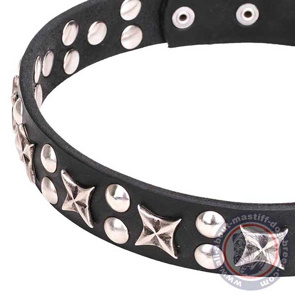 Leather dog collar with chrome plated decorations