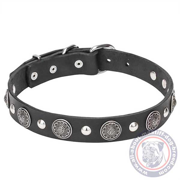 Adorned leather dog collar