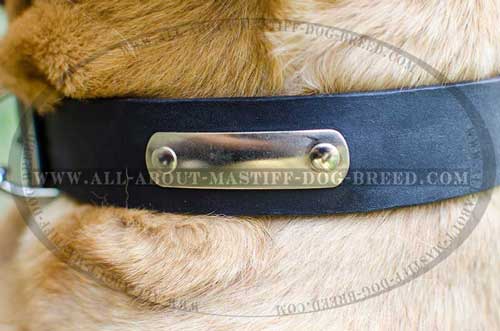 Leather dog collar for easy identification