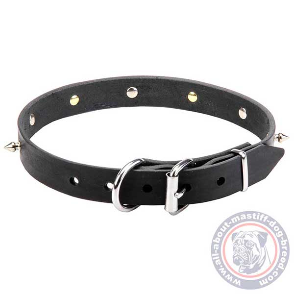Leather dog collar with nickel pated adornments