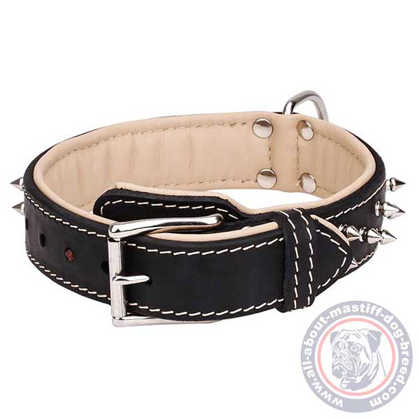 Leather dog collar with reliable hardware