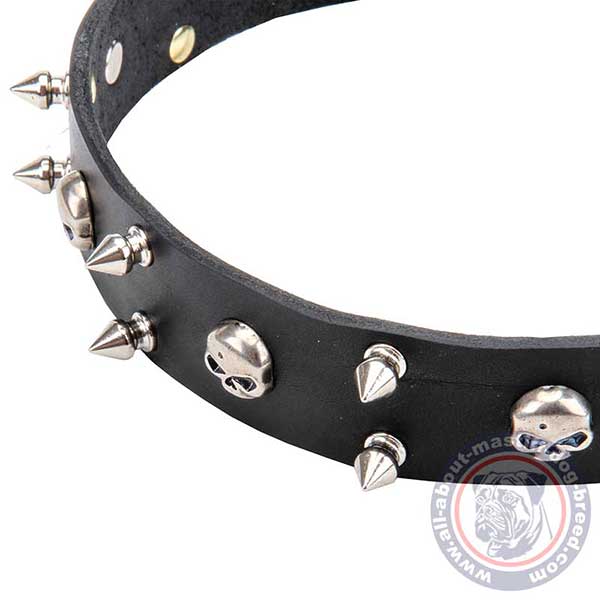 Leather dog collar with nickel plated adornments