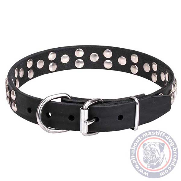 Leather dog collar with strong buckle and D-ring