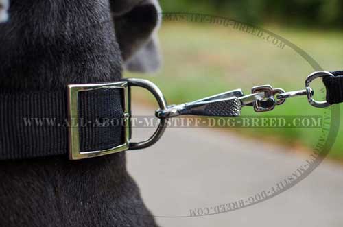 Super strong leather dog collar