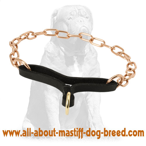Mastiff Curogan Martingale Dog Collar 1/9 inch (3 mm) [MC41071